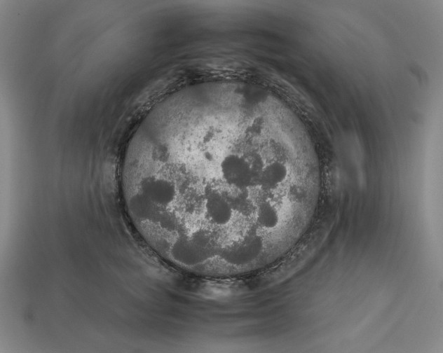 X0000113110757200909181628