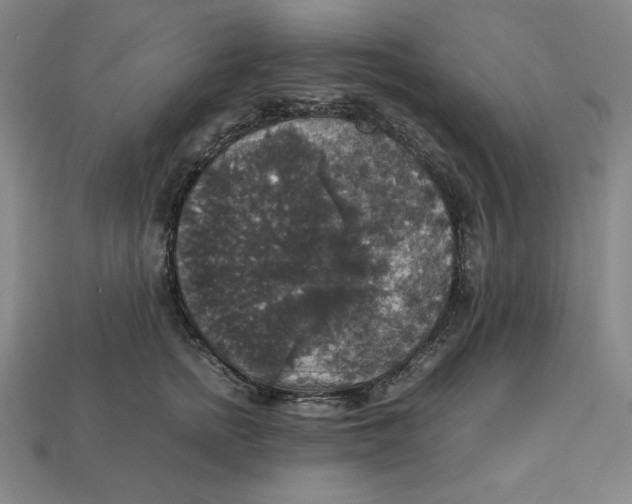 X0000113110758200909181628