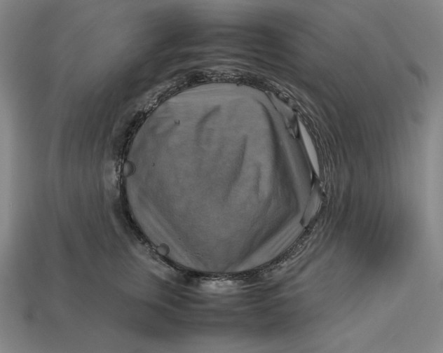 X0000113110759200909181628