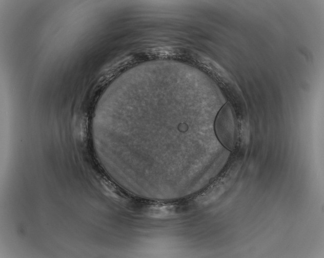 X0000113110760200909181628