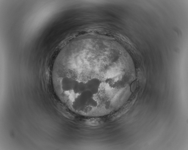 X0000113110761200909181628