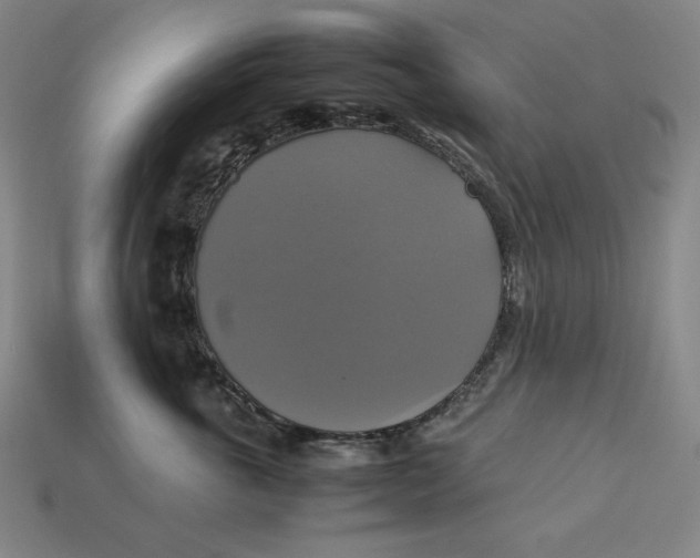 X0000113110763200909181628