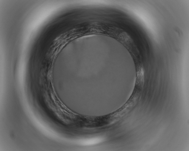 X0000113110765200909181628