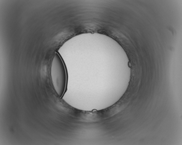 X0000113110768200909181628