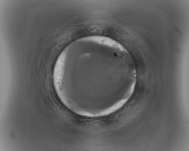 X0000113110769200909181628