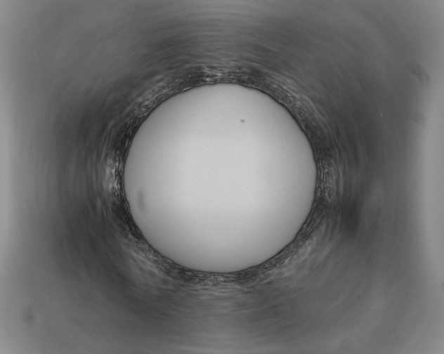 X0000113110770200909181628