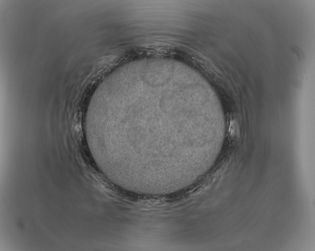 X0000113110771200909181628