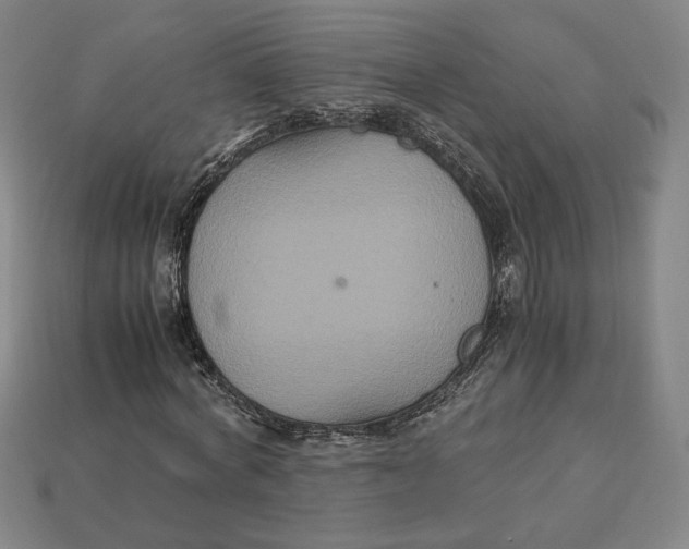 X0000113110772200909181628