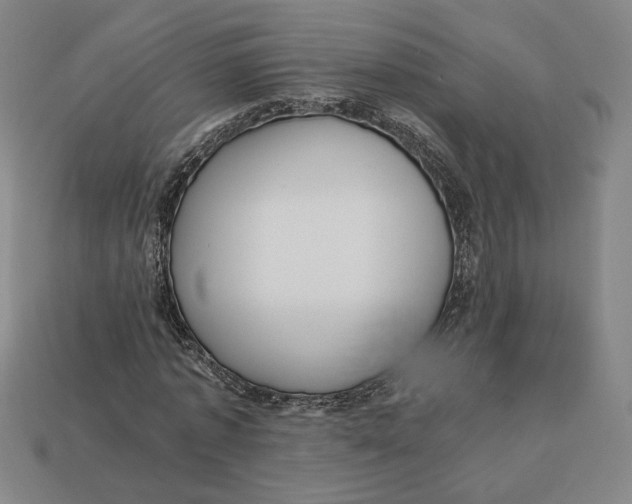 X0000113110773200909181628