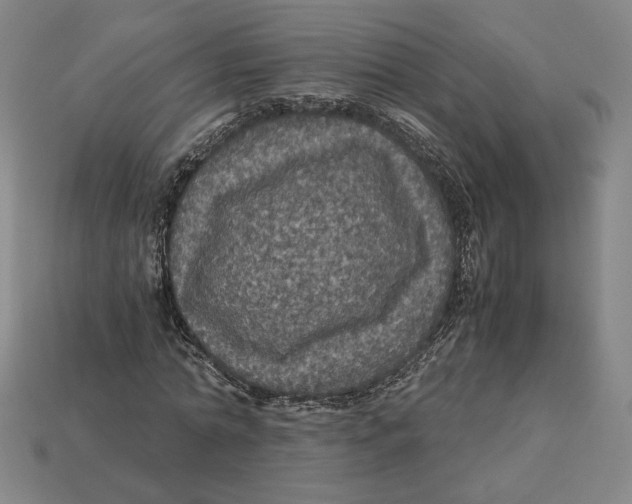 X0000113110774200909181628