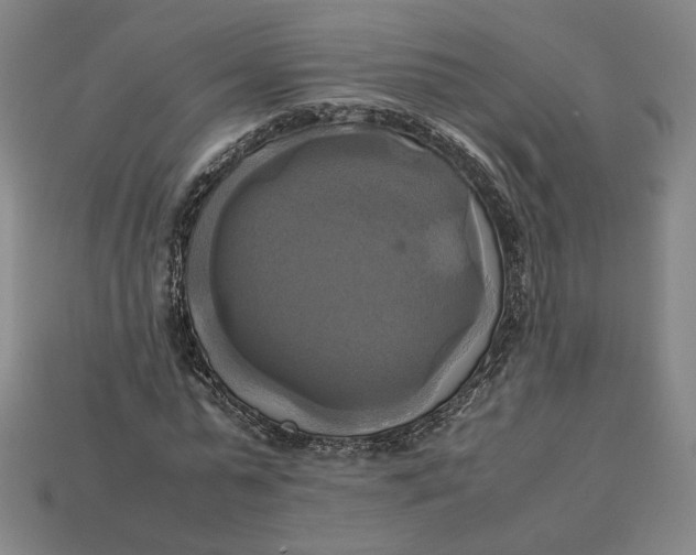 X0000113110775200909181628