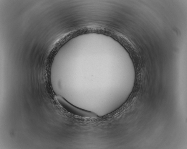 X0000113110776200909181628