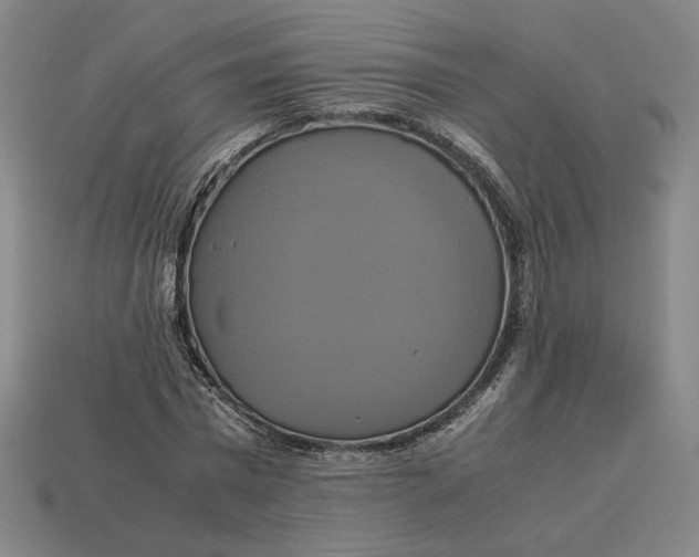 X0000113110777200909181628