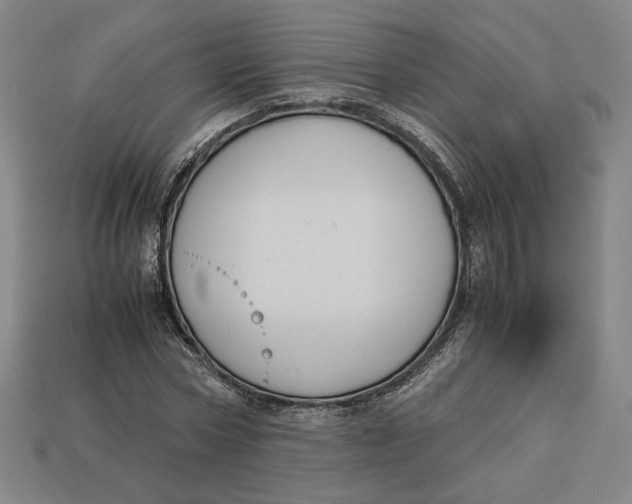 X0000113110778200909181628