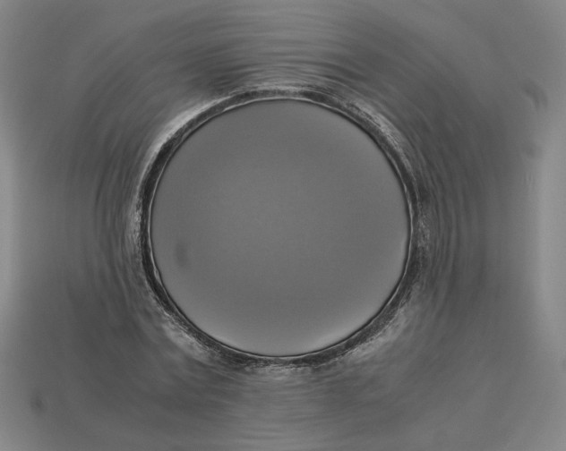 X0000113110779200909181628