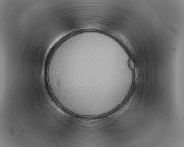 X0000113110780200909181628