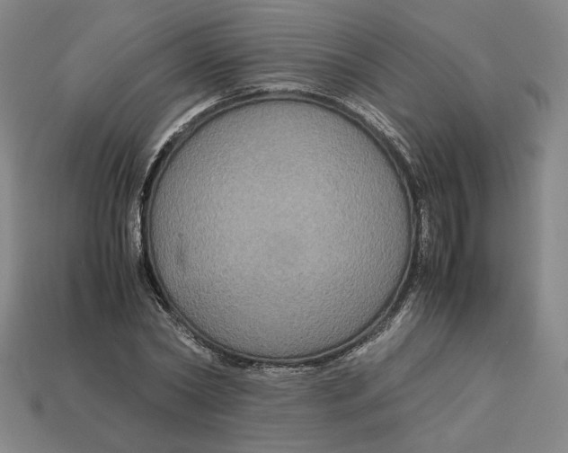 X0000113110782200909181628