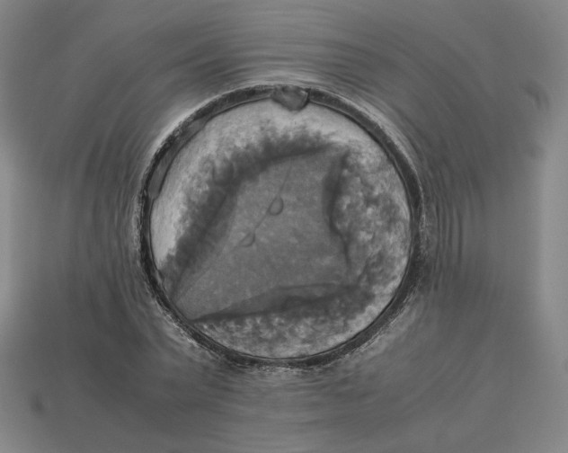 X0000113110783200909181627