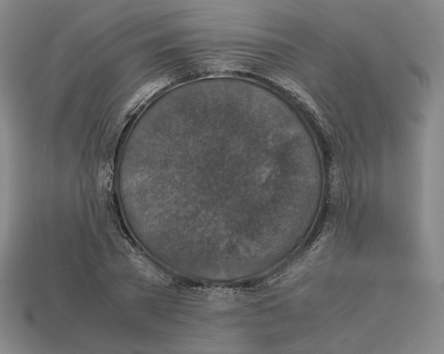 X0000113110785200909181627