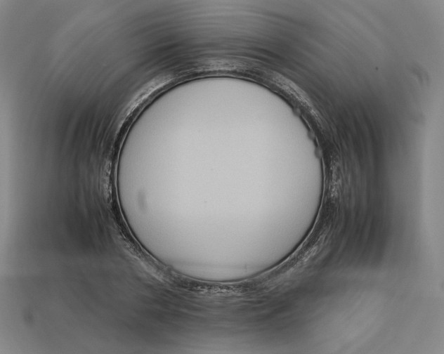 X0000113110786200909181627