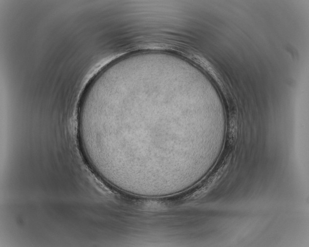 X0000113110787200909181627