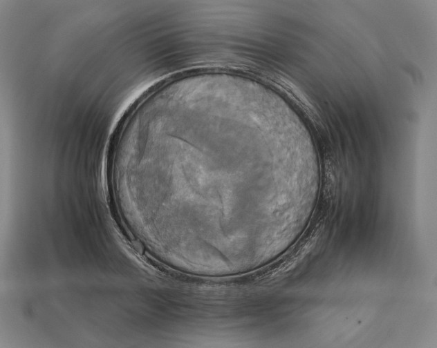 X0000113110788200909181627