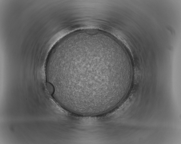 X0000113110789200909181627