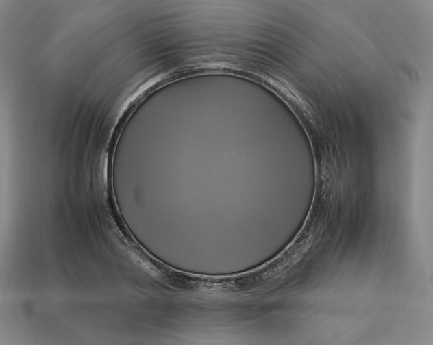 X0000113110790200909181627