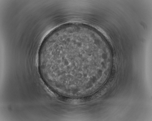 X0000113110791200909181627