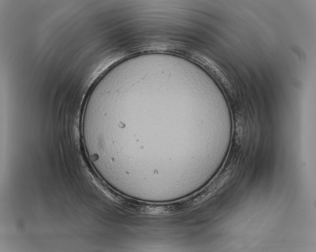 X0000113110794200909181627