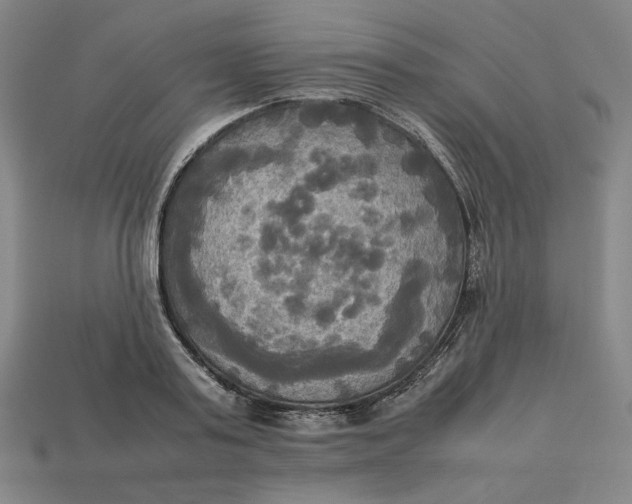 X0000113110795200909181627