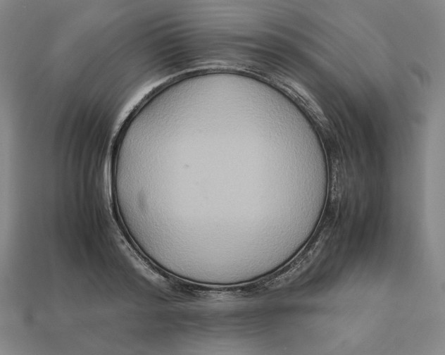 X0000113110796200909181627