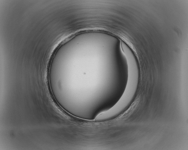 X0000113110797200909181627