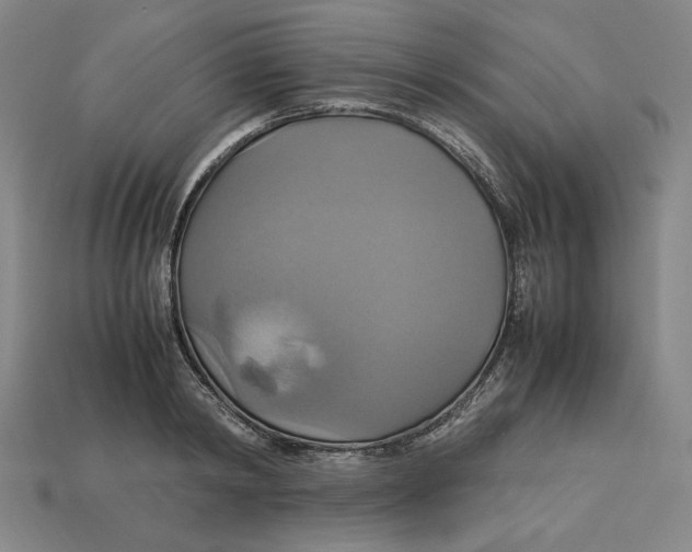 X0000113110798200909181627