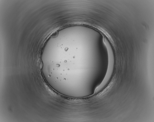 X0000113110801200909181627