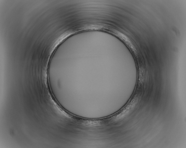 X0000113110802200909181627