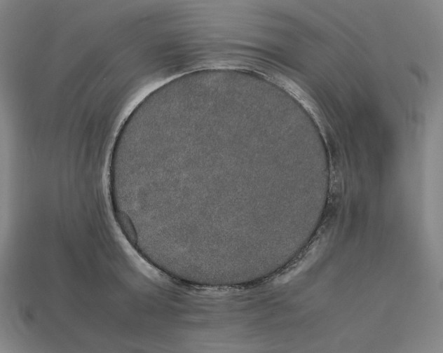 X0000113110803200909181627
