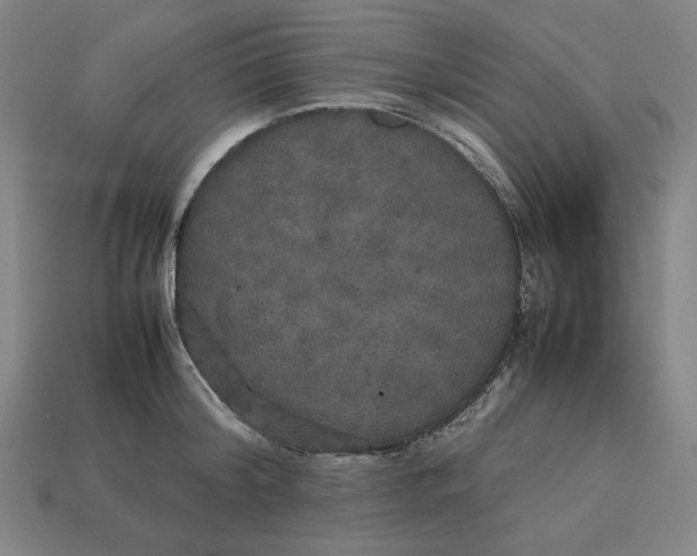 X0000113110804200909181627
