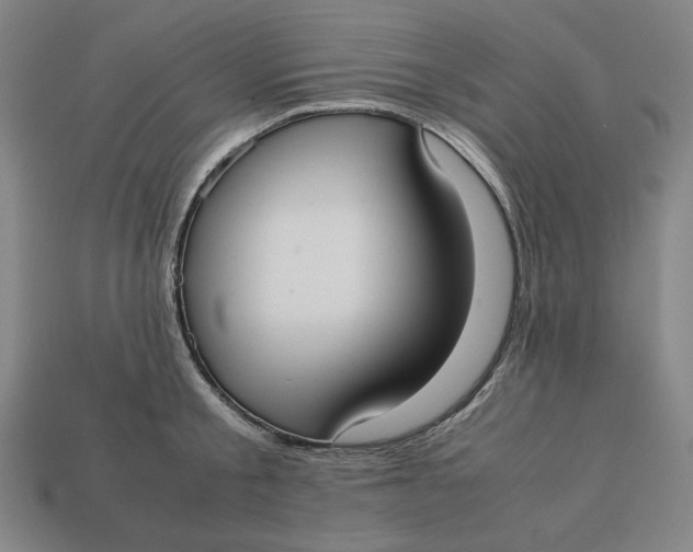 X0000113110805200909181627