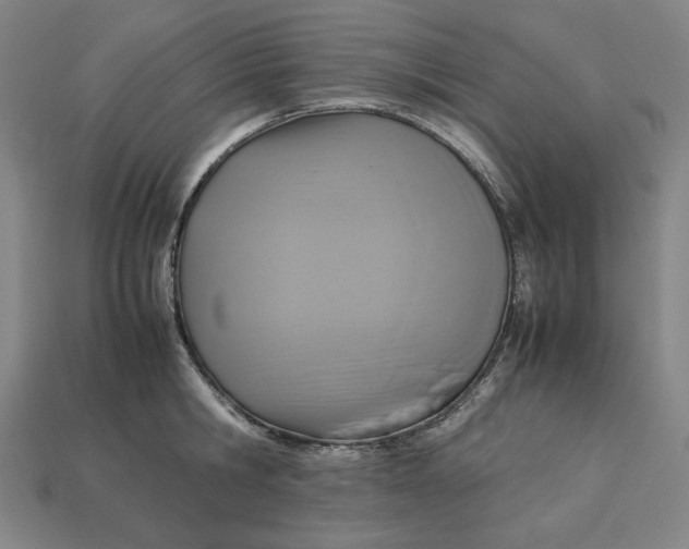 X0000113110806200909181627