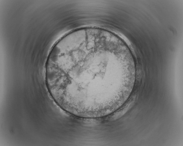 X0000113110807200909181627