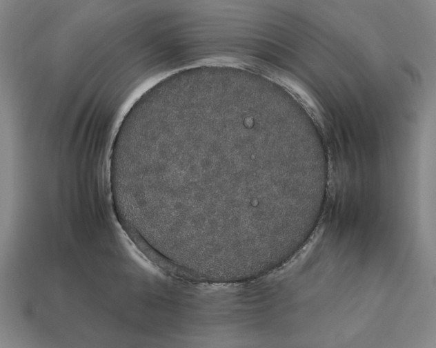 X0000113110808200909181627