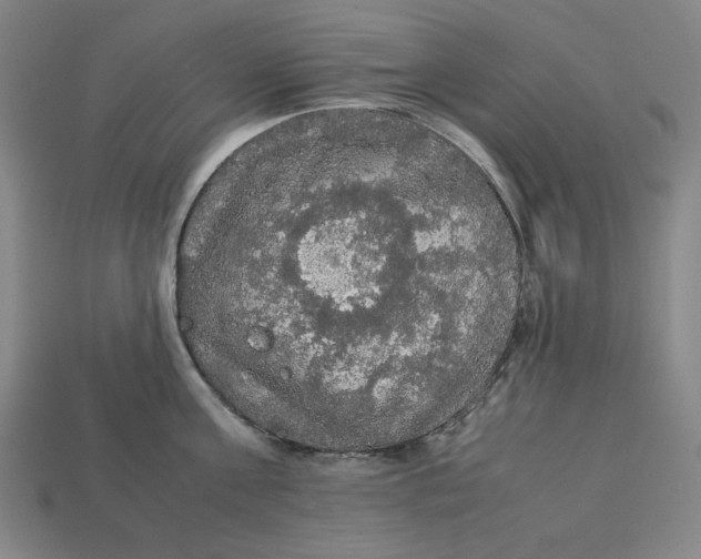 X0000113110811200909181627