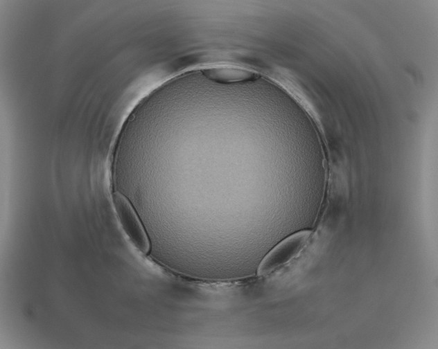 X0000113110813200909181627