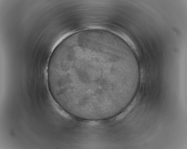 X0000113110814200909181627