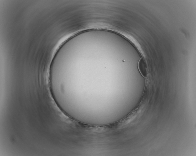 X0000113110815200909181627