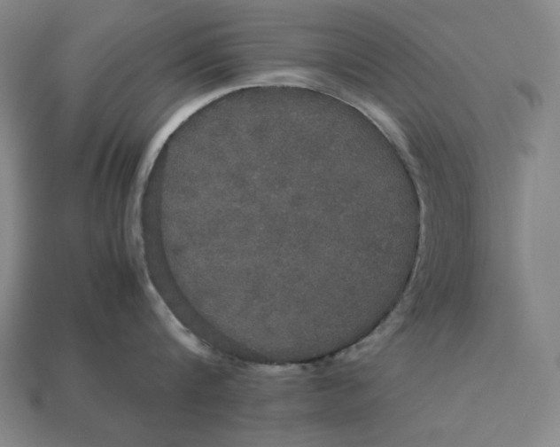 X0000113110816200909181627