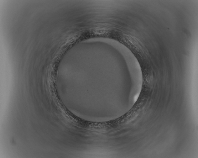 X0000113110817200909181626