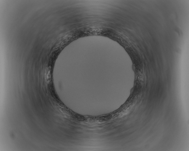X0000113110818200909181626