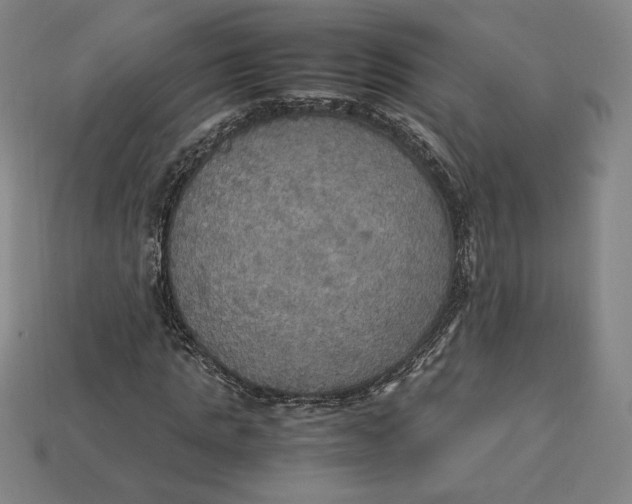 X0000113110821200909181626
